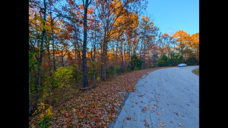 timeline 1 01 00 00 00