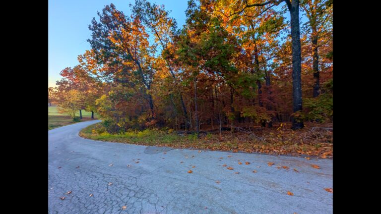 timeline 1 01 00 00 00