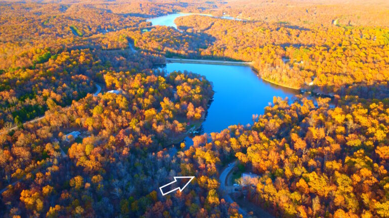 timeline 1 01 00 52 25l