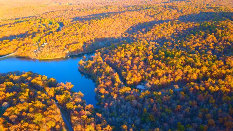 timeline 1 01 01 28 05