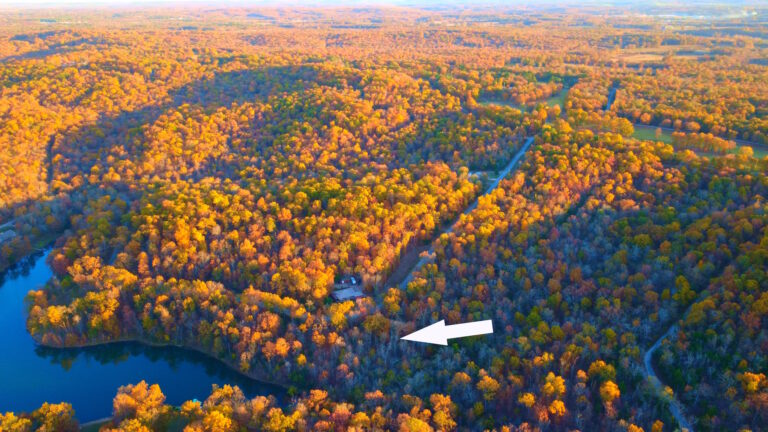 timeline 1 01 01 53 29l