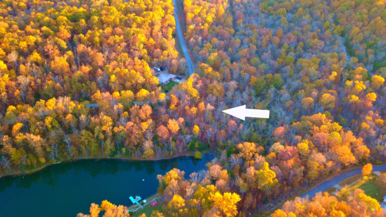 timeline 1 01 02 30 01l