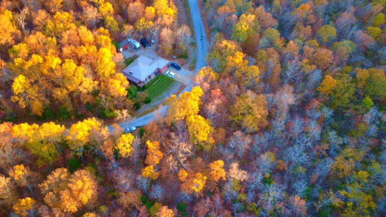 timeline 1 01 02 42 14