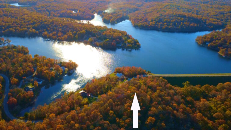 timeline 1 01 03 29 20l