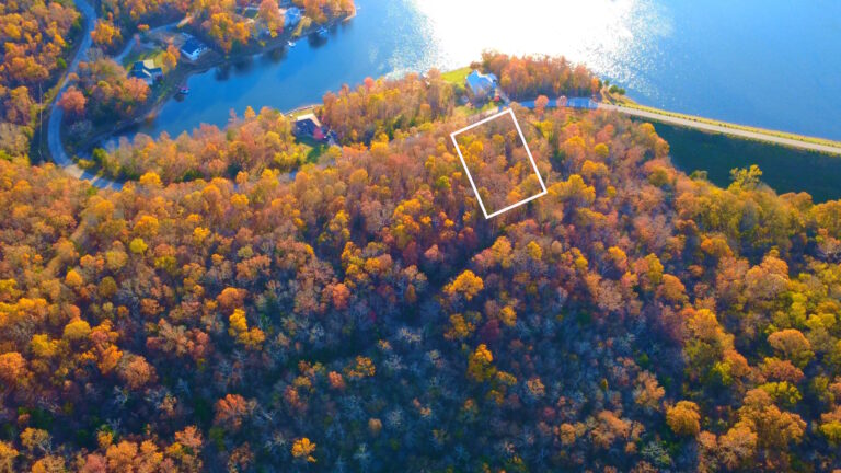 timeline 1 01 03 43 01l