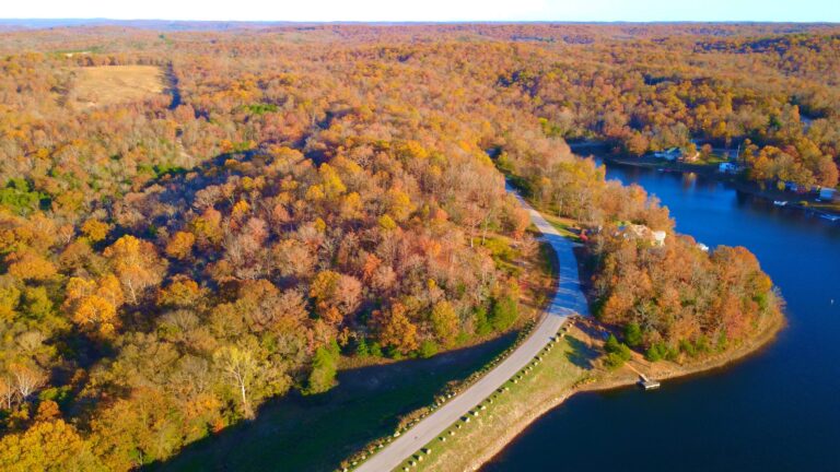 timeline 1 01 05 10 17