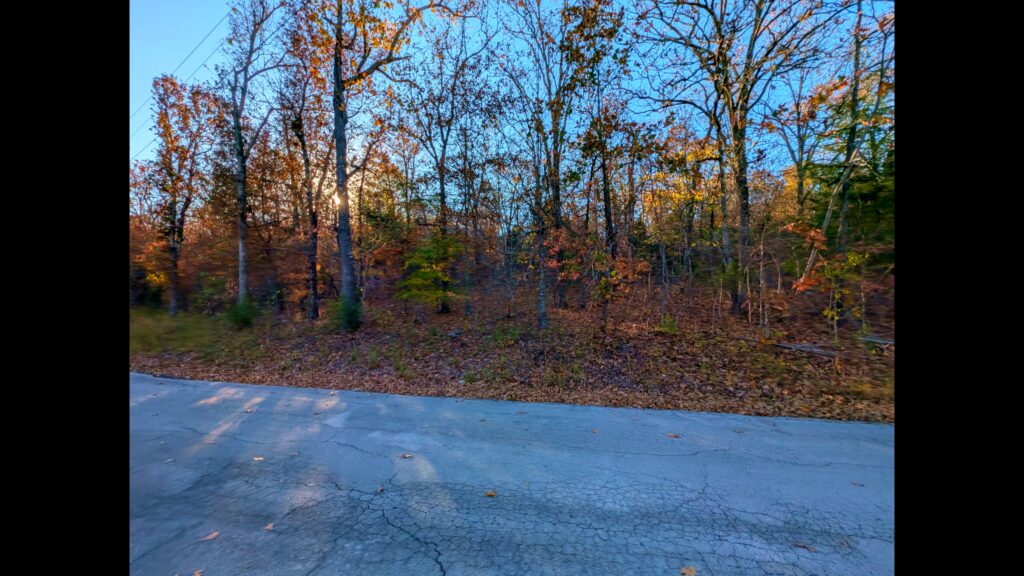 timeline 5 01 00 00 00